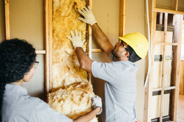 Best Insulation for New Construction  in Village Green, NY