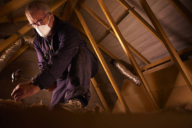 Best Energy-efficient Insulation  in Village Green, NY