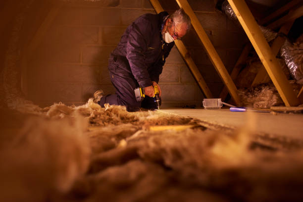 Best Crawl Space Insulation  in Village Green, NY